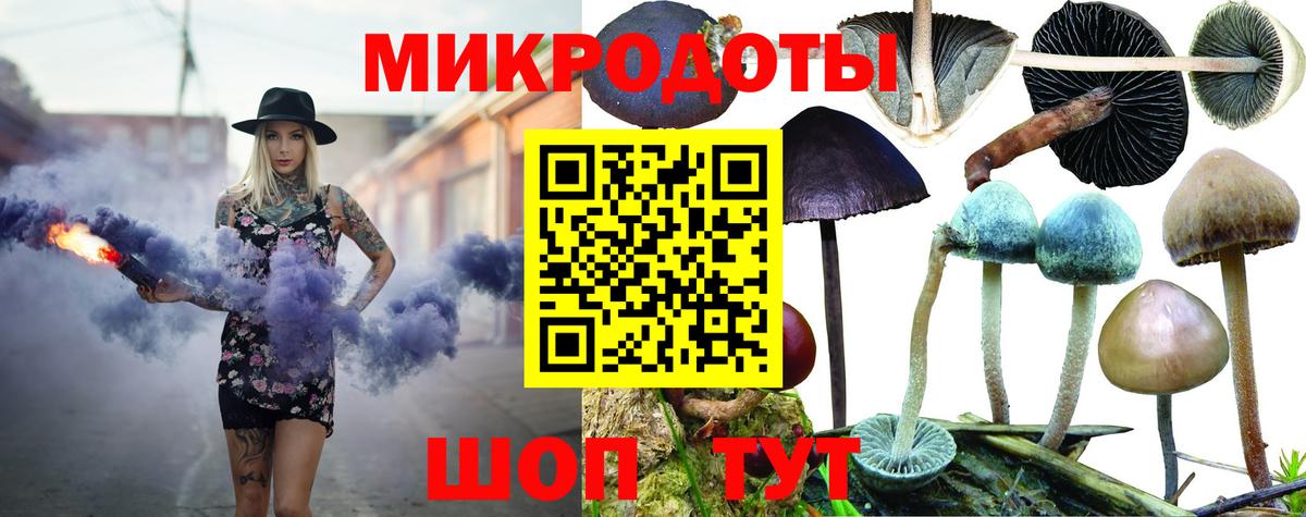 Псилоцибиновые грибы мицелий  наркотики  Вход с VPN  Бердск  Псилоцибиновые грибы прущие грибы 