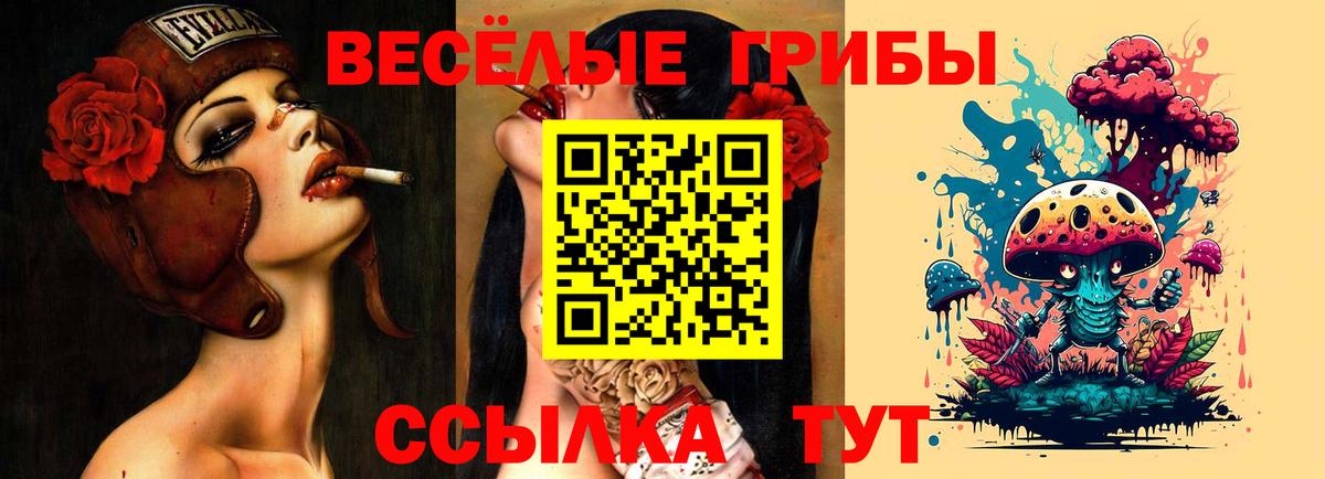 Псилоцибиновые грибы мухоморы Бердск